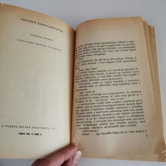 1977 Hungarian Kid Book Fekete István Illustrated Tüskevár Youth Novel Cover Art - Picture 7 of 9